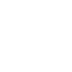 logo MIRTILO