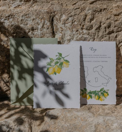 mirtilo_design_ italy-11