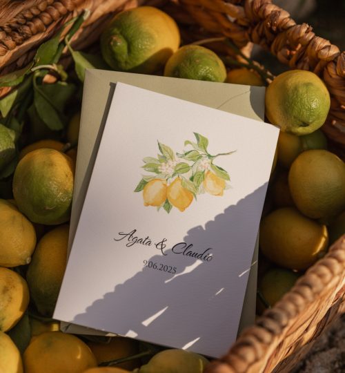 mirtilo_design_lemon-01