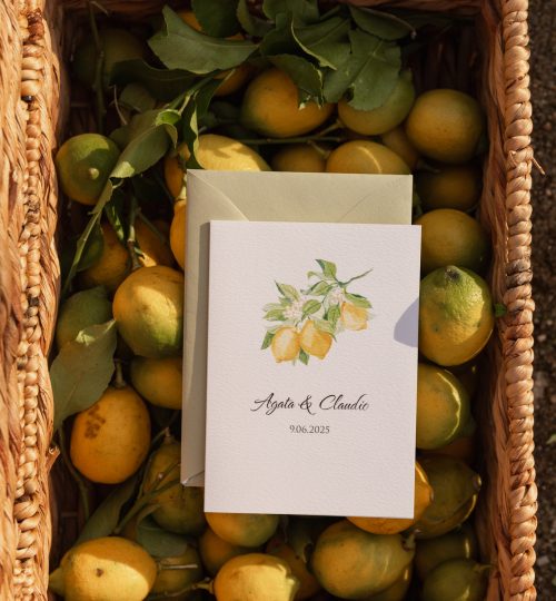 mirtilo_design_lemon-04