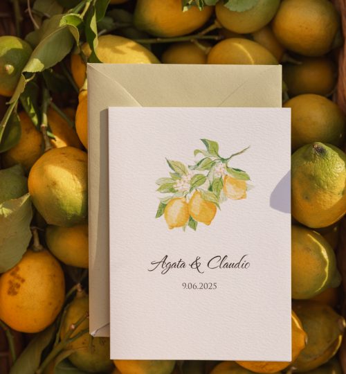 mirtilo_design_lemon-05