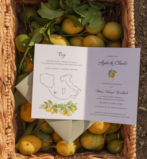 mirtilo_design_lemon-06