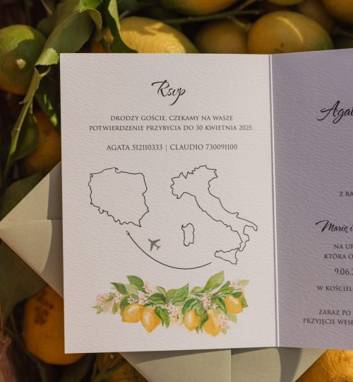 mirtilo_design_lemon-07