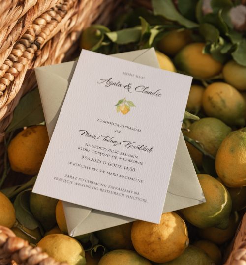 mirtilo_design_lemon-16