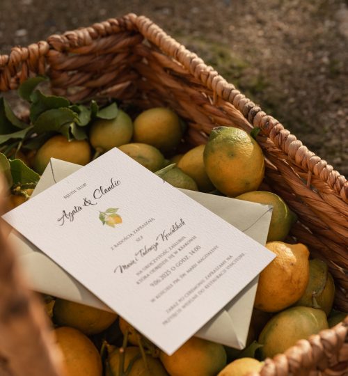 mirtilo_design_lemon-21